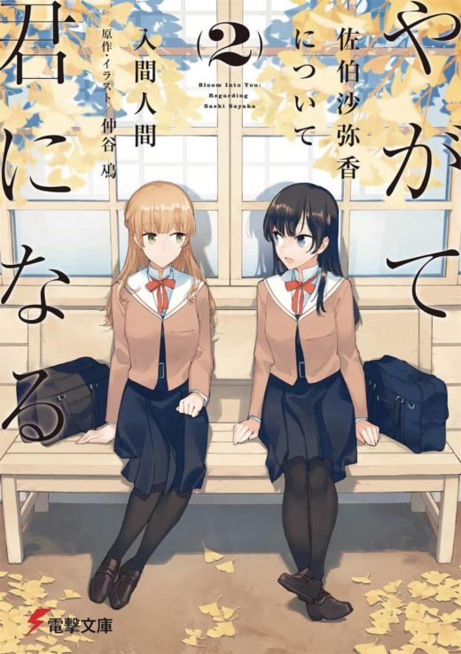 BLOOM INTO YOU LIGHT NOVEL SC VOL 02