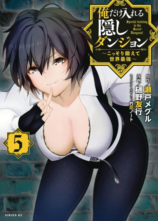 HIDDEN DUNGEON ONLY I CAN ENTER LIGHT NOVEL VOL 05 (C: 0-1-0