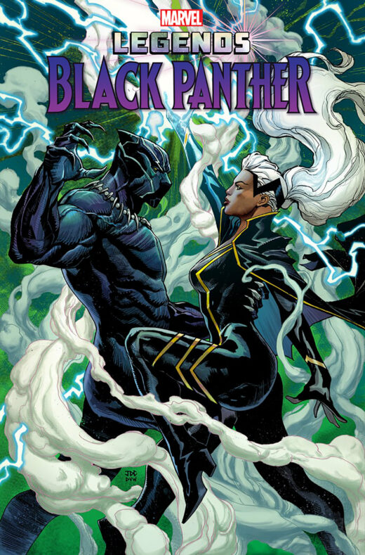 BLACK PANTHER LEGENDS 2 CASSARA STORMBREAKERS VARIANT