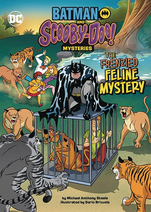 BATMAN SCOOBY DOO MYSTERIES FRENZIED FELINE MYSTERY (C: 0-1-