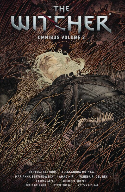 WITCHER OMNIBUS TP VOL 02 (C: 0-1-2)