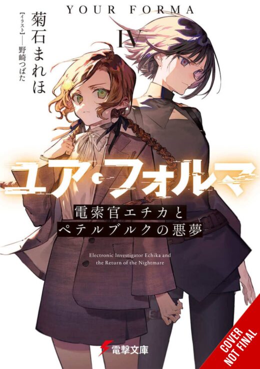 YOUR FORMA LIGHT NOVEL SC VOL 04 (MR)