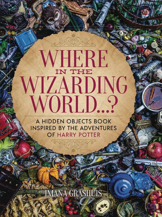 WHERE IN WIZARDING WORLD HIDDEN OBJECTS PICTURE BOOK HC (C: