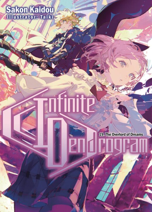 INFINITE DENDROGRAM LIGHT NOVEL SC VOL 19 (C: 0-1-1)