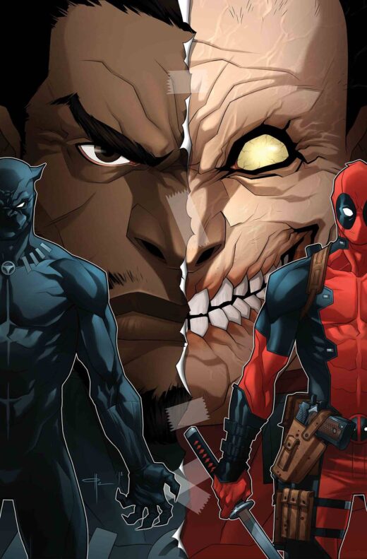 BLACK PANTHER VS DEADPOOL #3 (OF 5) YILDRIM VAR (M or E)