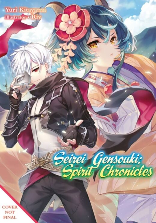 SEIREI GENSOUKI SPIRIT CHRONICLES OMNIBUS NOVEL VOL 11 (C: 0