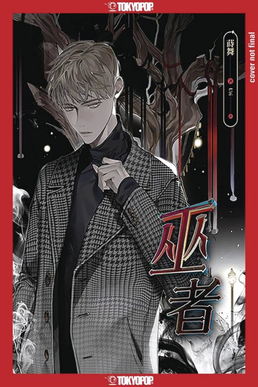 WIZARD (LIGHT NOVEL) SC (MR) (C: 0-1-2)