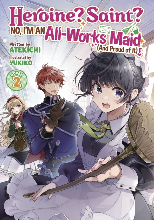 HEROINE SAINT ALL WORKS MAID SC NOVEL VOL 02 (MR) (C: 0-1-2)