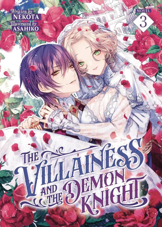 VILLAINESS & DEMON KNIGHT L NOVEL SC VOL 03 (MR) (C: 0-1-2)