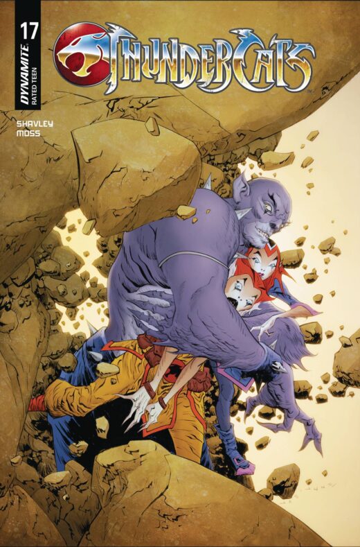THUNDERCATS #17 CVR C LEE & CHUNG