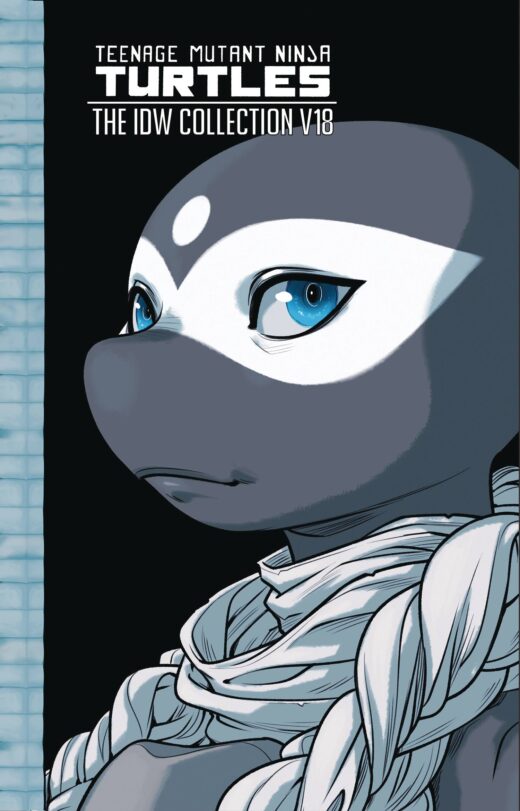 TMNT ONGOING (IDW) COLL HC VOL 18