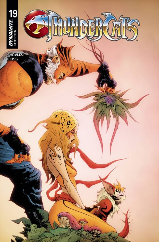 THUNDERCATS #19 CVR C LEE & CHUNG
