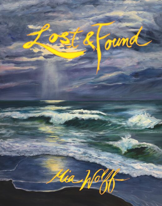 LOST & FOUND HC (MR)