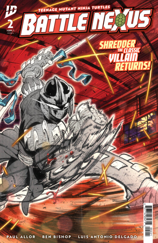 Teenage Mutant Ninja Turtles: Battle Nexus #2 Variant B (Ortiz)