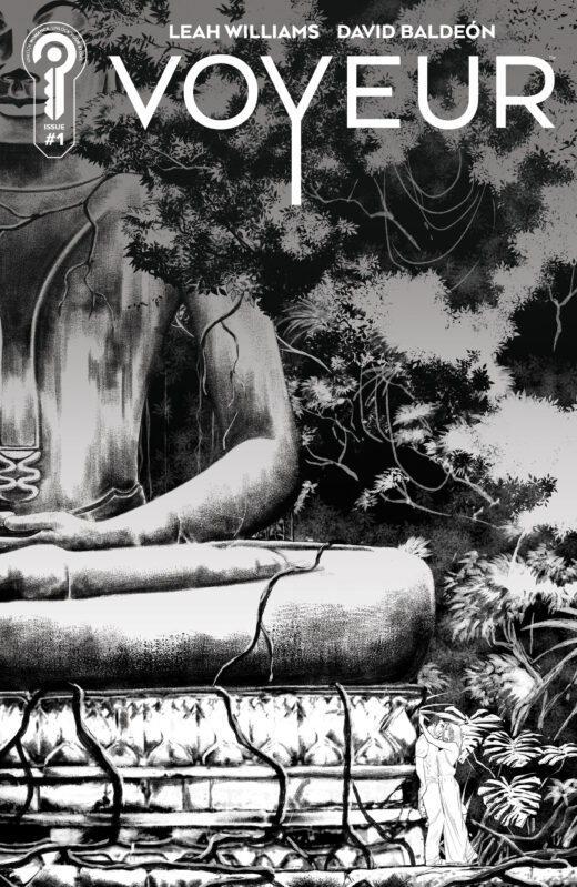 VOYEUR #3 Cover B David Baldeon