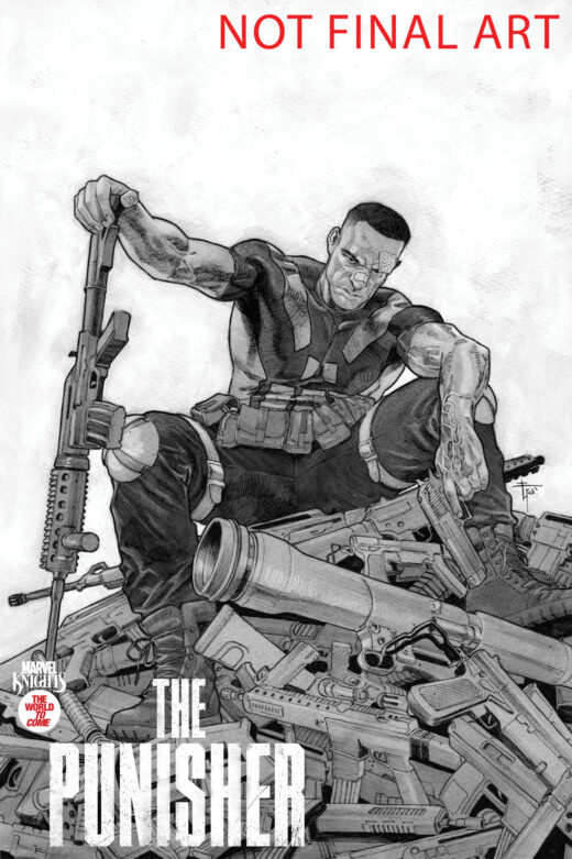 MARVEL KNIGHTS: PUNISHER #2 TBD ARTIST VARIANT