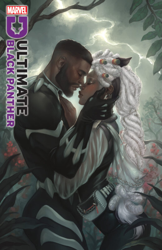 ULTIMATE BLACK PANTHER #23 MEGHAN HETRICK VARIANT