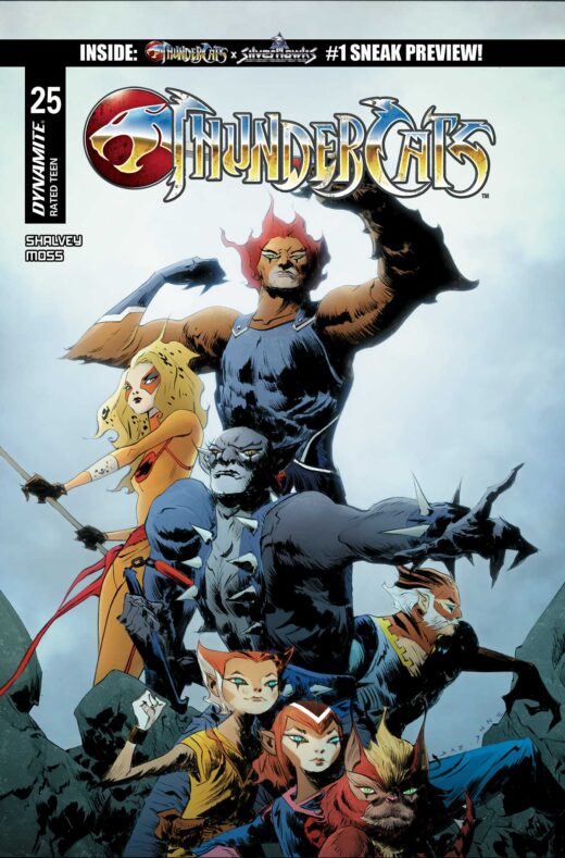 THUNDERCATS #25 CVR C JAE LEE VAR