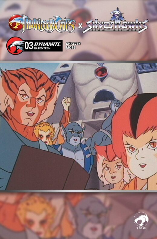 THUNDERCATS X SILVERHAWKS #3 CVR E ANIMATION ART VAR