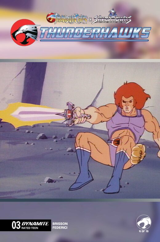 THUNDERCATS X SILVERHAWKS THUNDERHAWKS #3 CVR E ANIMATION ART VAR