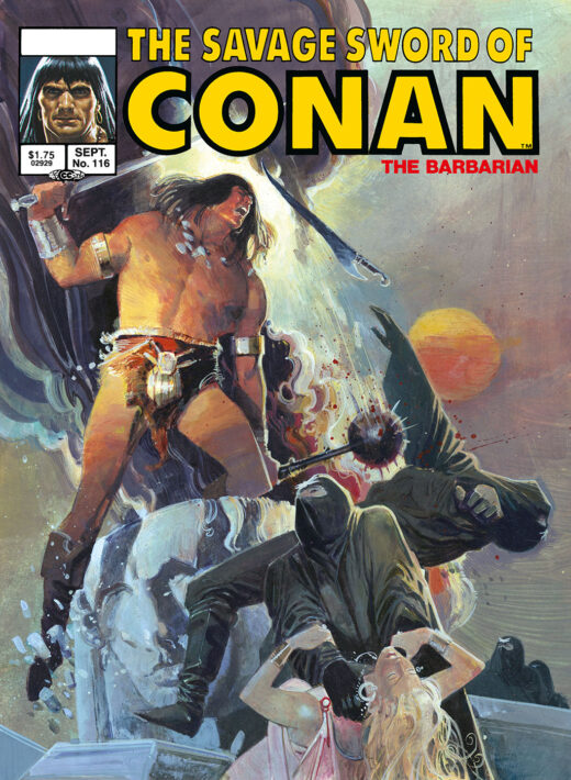 SAVAGE SWORD OF CONAN ORIGINAL COMICS OMNIBUS VOL 08 DIRECT MARKET EDITION BILL SIENKIEWICZ CVR (MR)