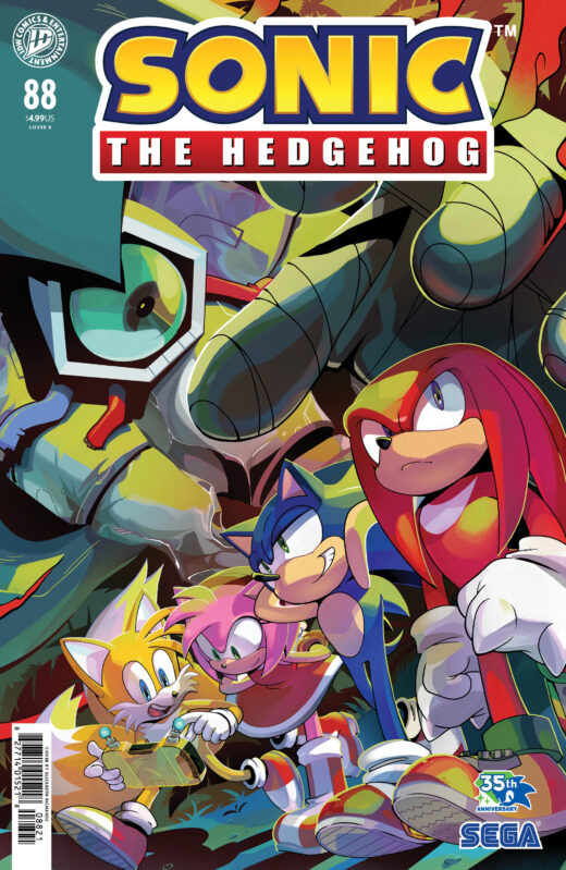 Sonic the Hedgehog #88 Variant B (Richards)